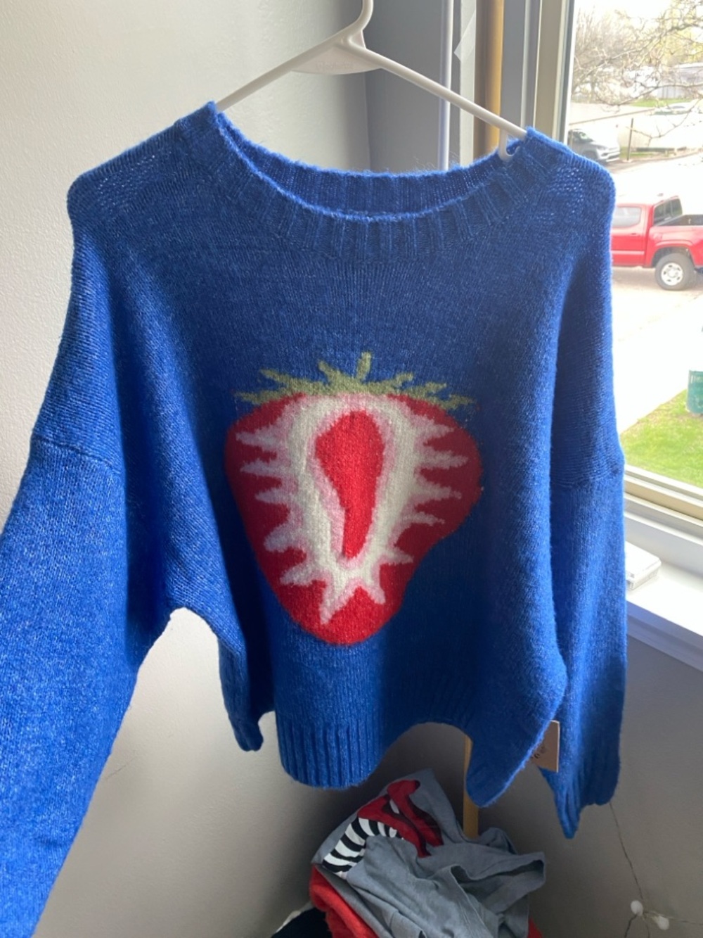 Blue Strawberry Crewneck Sweater